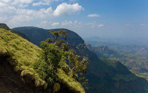 Lush green hill with a tree overlooking distant mountains under a partly cloudy sky.