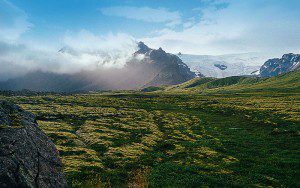 Lush green mossy field with mountain and glacier under a blue sky.