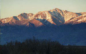 Snow-capped mountains under a clear sky with dark forest in the foreground.