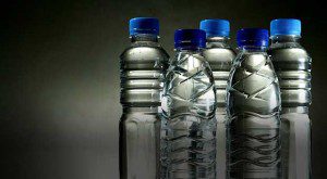 Water Trellis Bay Market