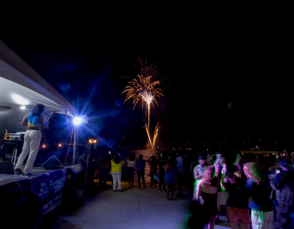 People watching the fireworks display near the shore
