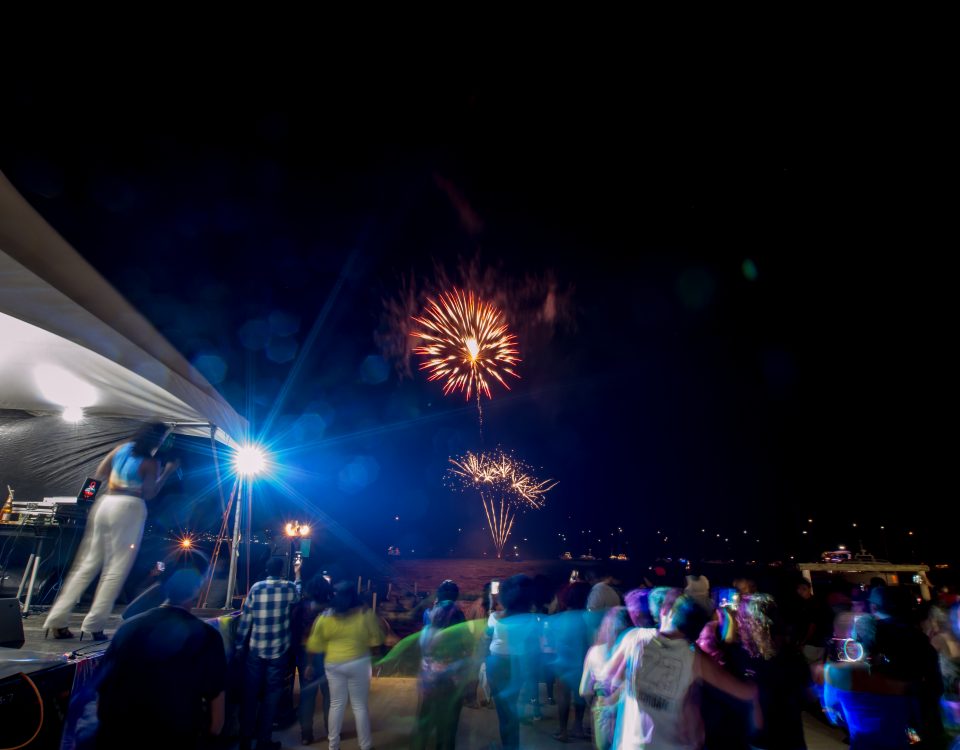 People watching the fireworks