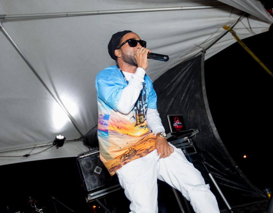 A singer performing on stage