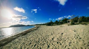 A sunny sandy beach with clear blue skies and distant greenery.