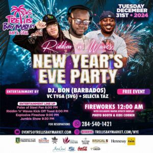 New Year's Eve party flyer with DJ, fireworks, and event details.