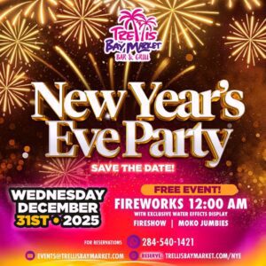 New Year's Eve party announcement with fireworks.