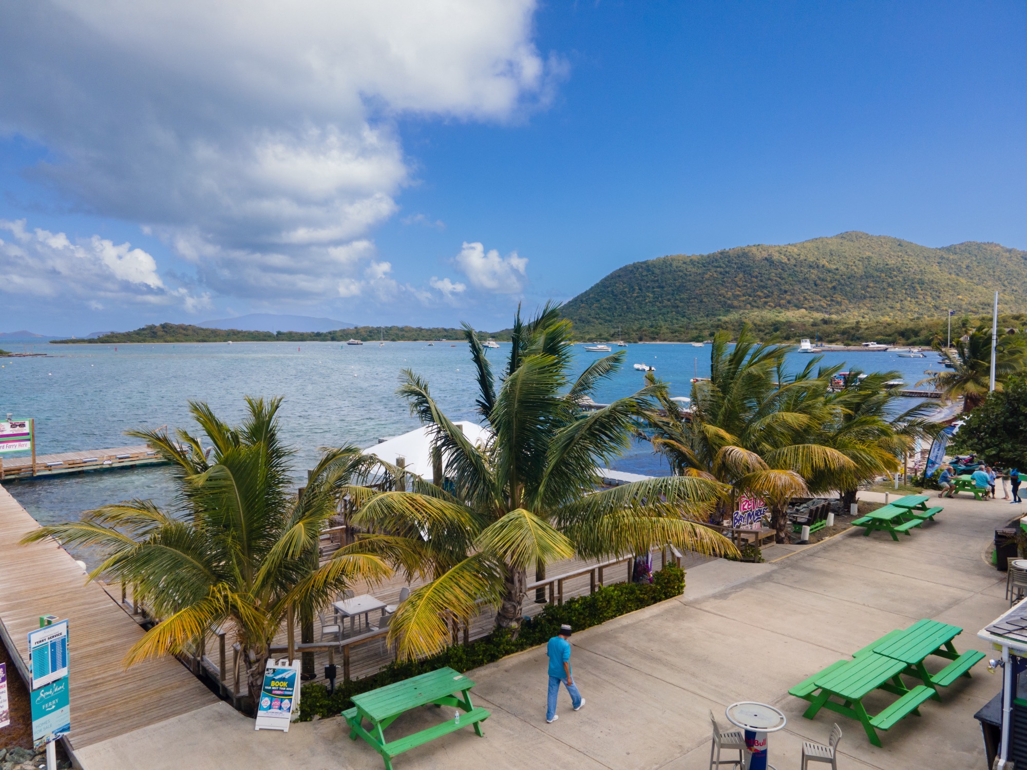 trellis bay market 2024